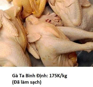 Gà Ta Bình Định